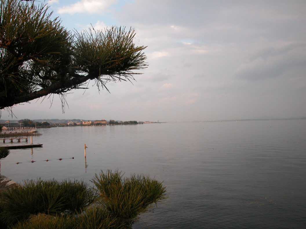 ���i�Γ���A