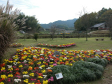 �����ˌÕ��t��