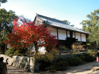 �ϐ�����