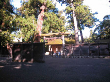 �ɐ��_�{�O�{